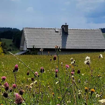 Apartmán Tabaszowka Krynica-Zdrój